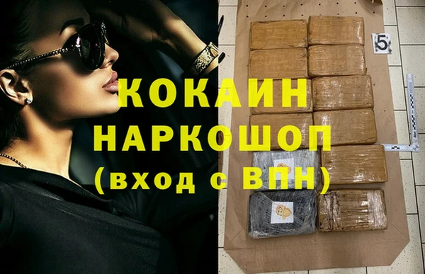 дживик Семилуки