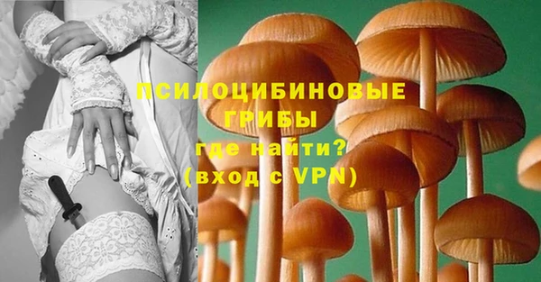круглые Алзамай