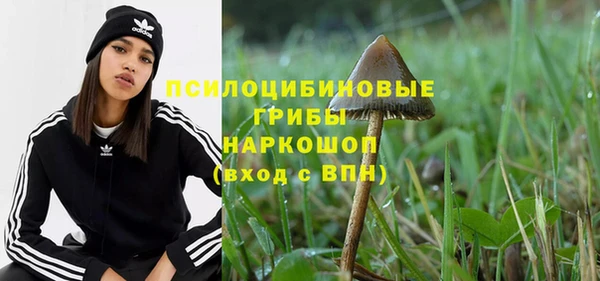 круглые Алзамай