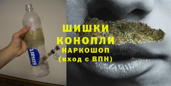 СК Алексин