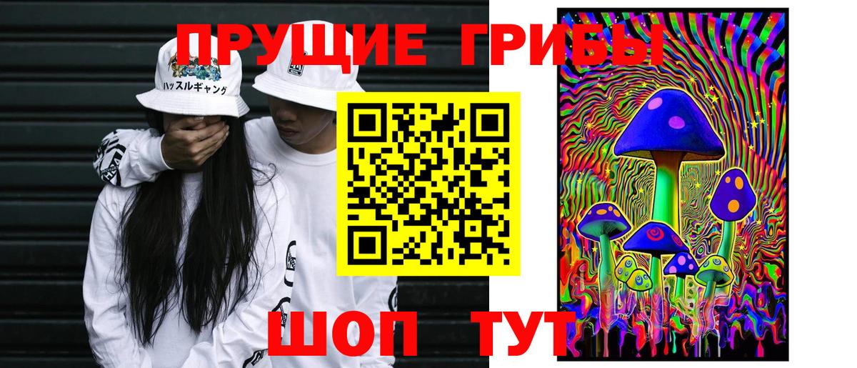 Псилоцибиновые грибы Cubensis Клин